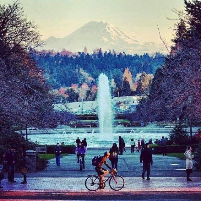 Seattle Uran Village- Olympic Exteriér fotografie